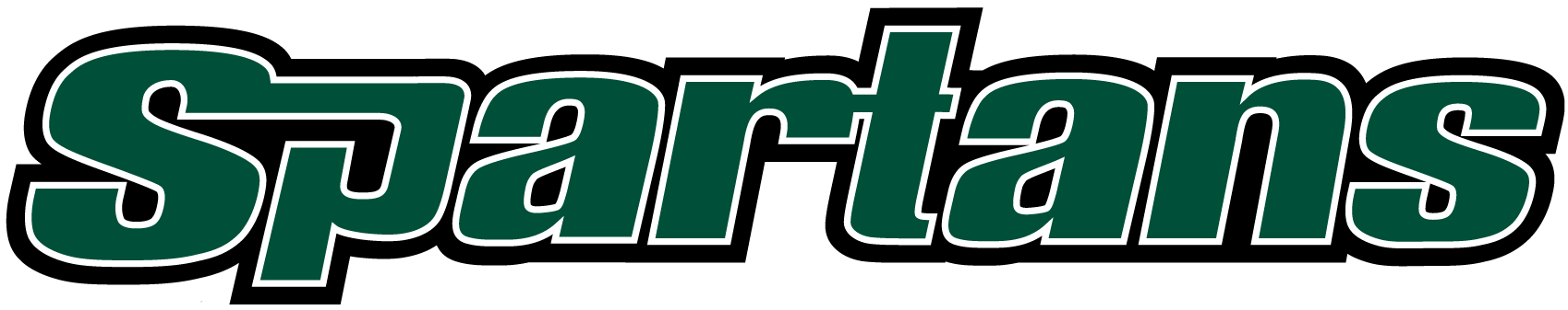 USC Upstate Spartans 2003-2010 Wordmark Logo diy DTF decal sticker